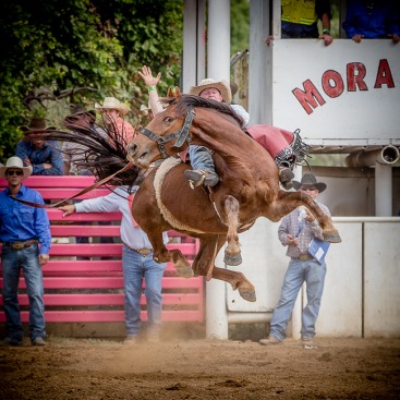 Rodeo